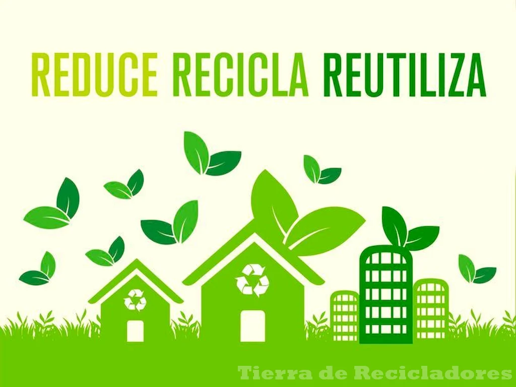 Recicla aceite para un futuro más sostenible