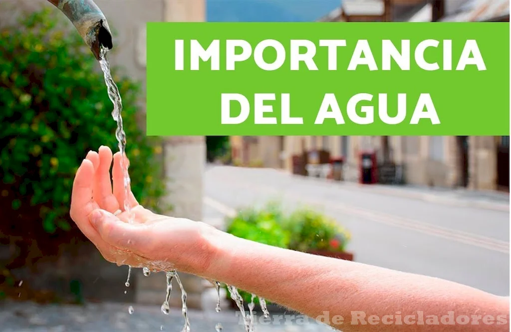 Conozcamos mejor las fuentes de agua dulce