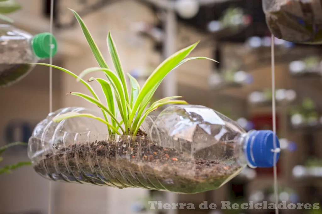 Desafía el consumismo y ayuda al medio ambiente