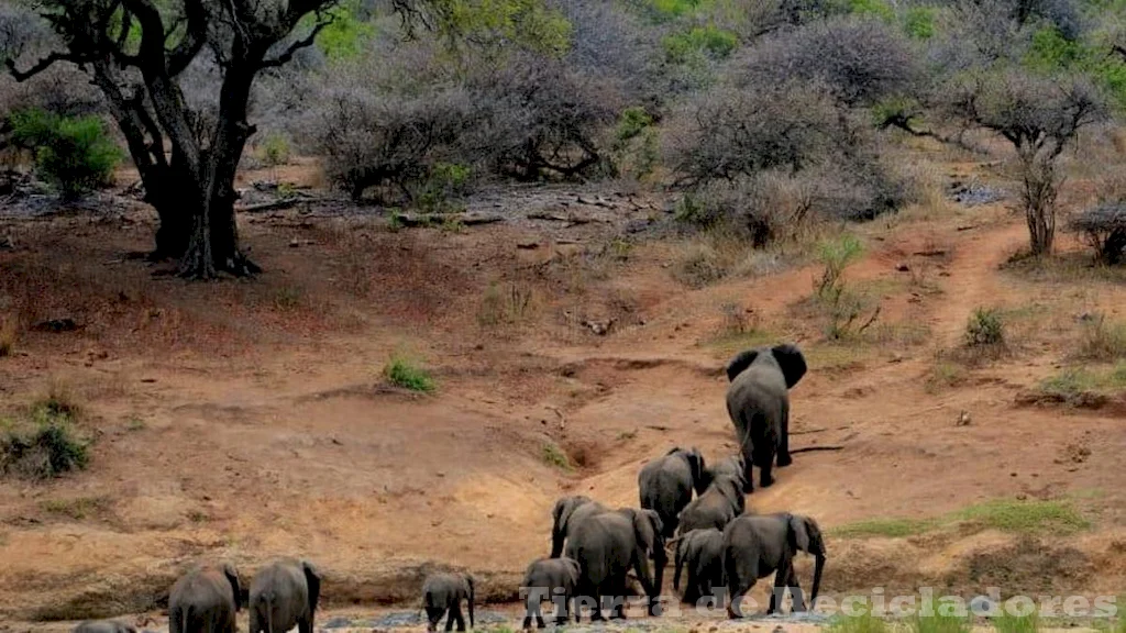 Organizaciones que trabajan por la protección de la biodiversidad