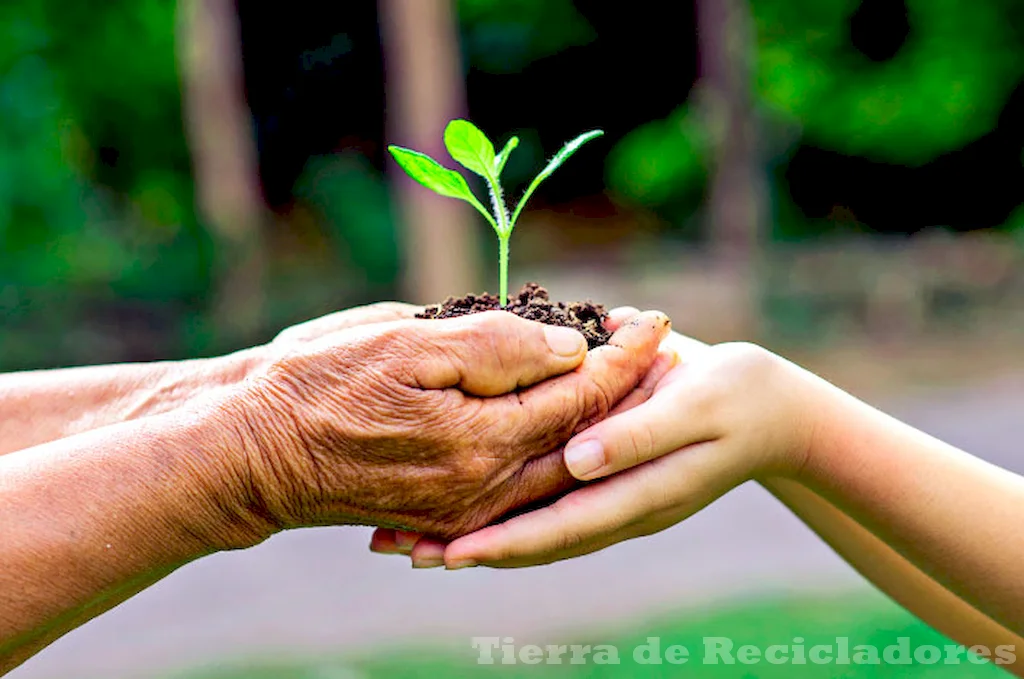 El legado ecológico a lo largo de la historia