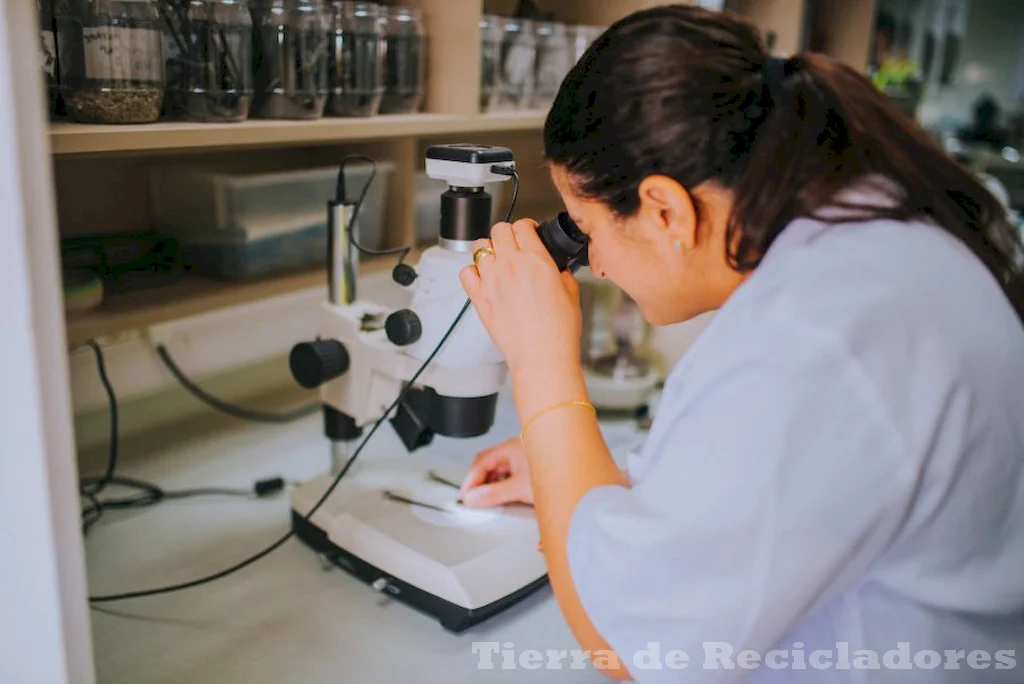 La revolución de los materiales biológicos para un futuro más sostenible