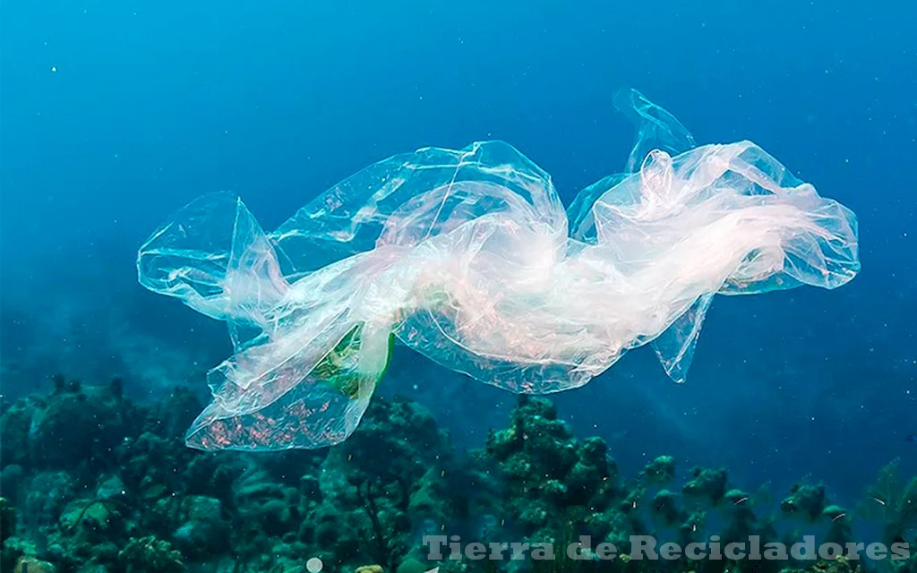 La biodiversidad en mares y océanos