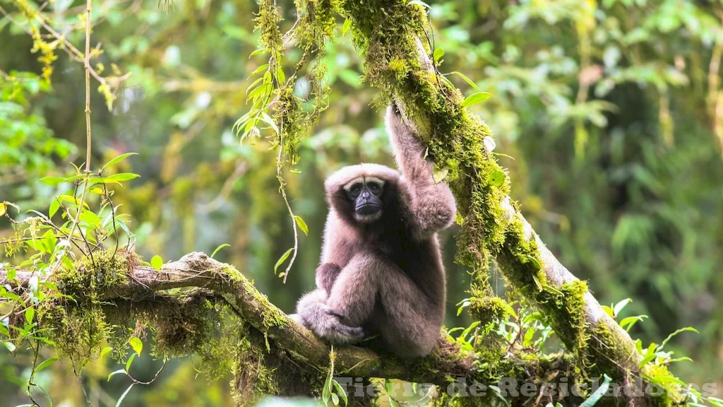 La biodiversidad y riqueza biológica en ecosistemas