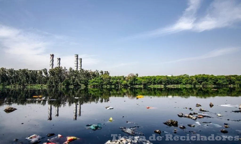 La biomagnificación acumula contaminantes en la cadena alimentaria