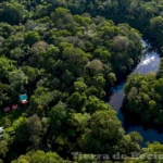 La biodiversidad de los bosques tropicales es impresionante