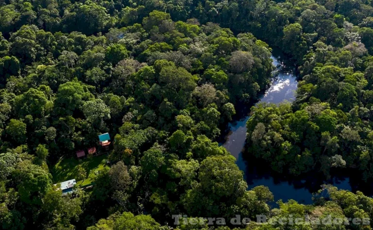 La biodiversidad de los bosques tropicales es impresionante