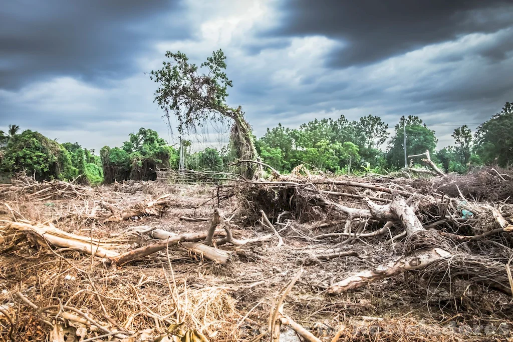 El cambio climático tiene consecuencias devastadoras para el planeta