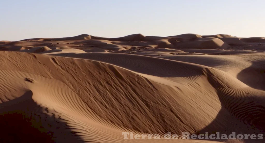 El ecosistema desértico se caracteriza por un clima árido y temperaturas extremas