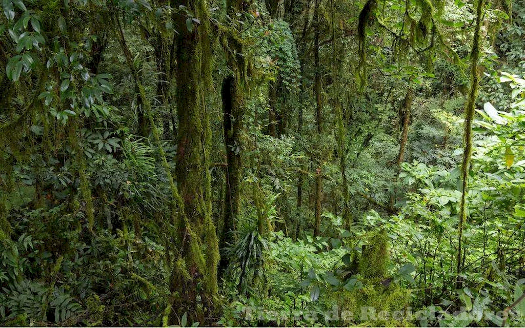 Factores geológicos y climáticos son fundamentales