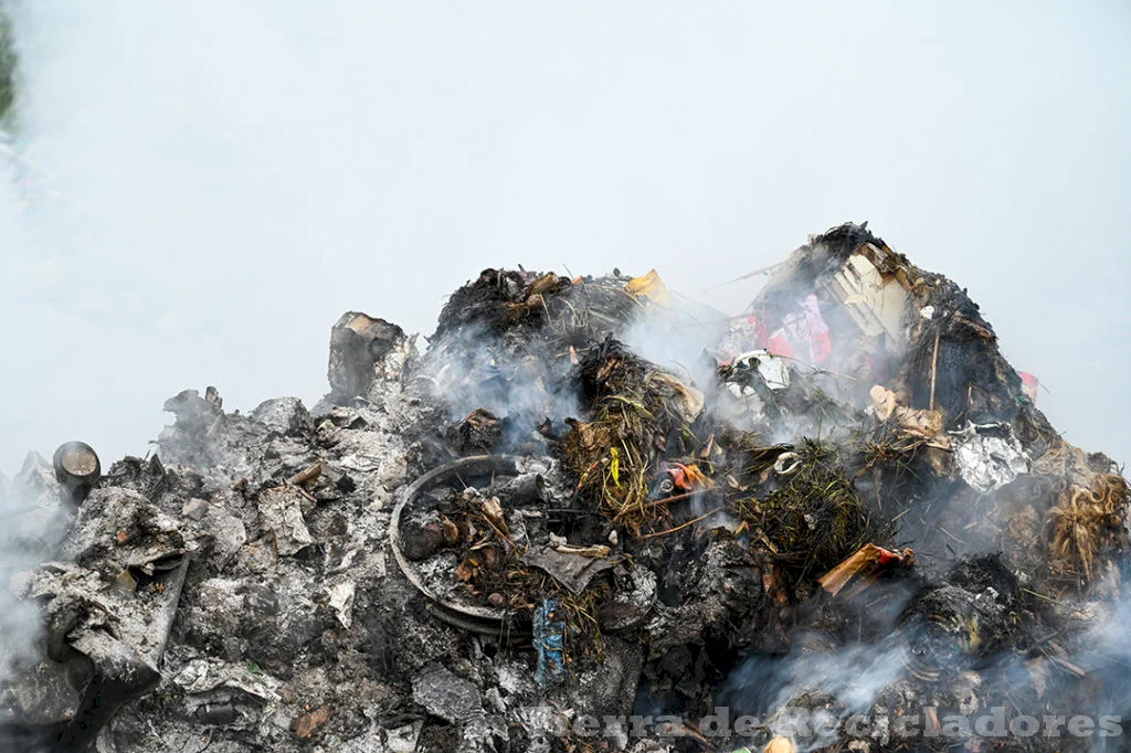 El deterioro ambiental se debe al sector industrial