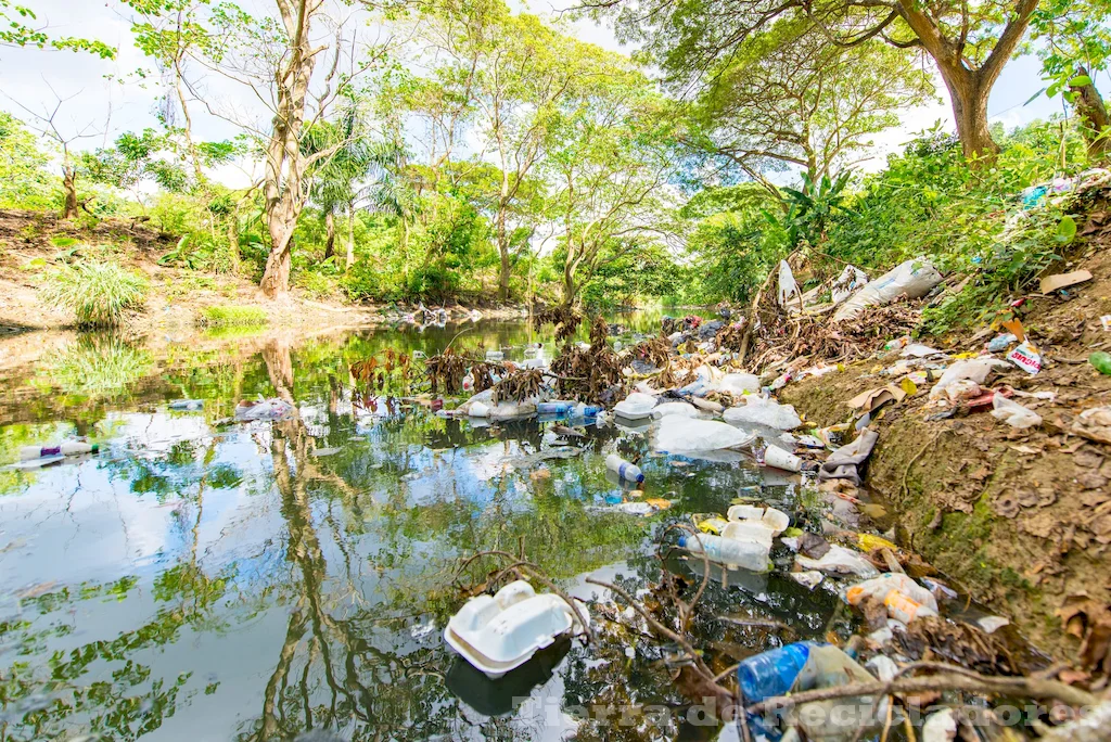 La contaminación del agua se debe a causas naturales