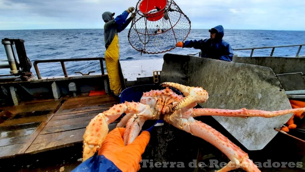 La sobreexplotación pesquera