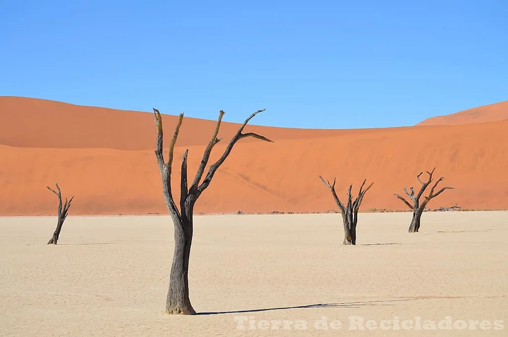 Condiciones climáticas extremas en el desierto