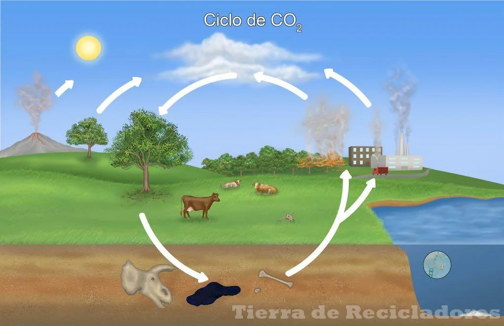 Conocer el clima ecuatorial para proteger la naturaleza