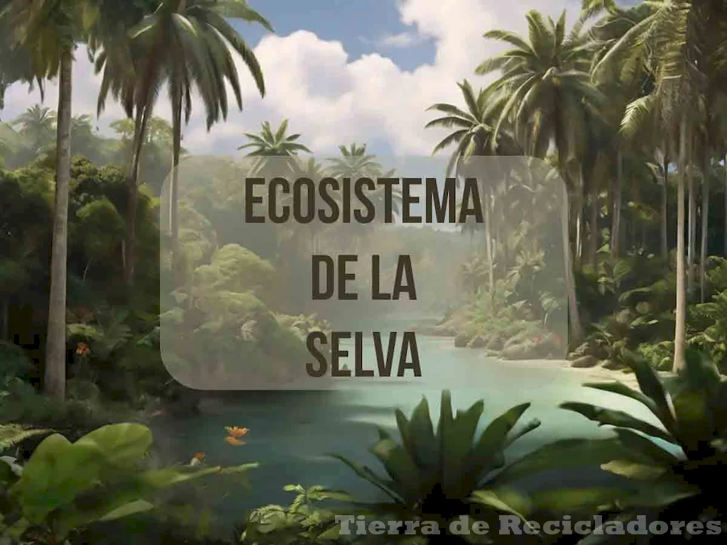 Selva Seca: Características, Flora y Fauna - Conocimientos sobre este ...