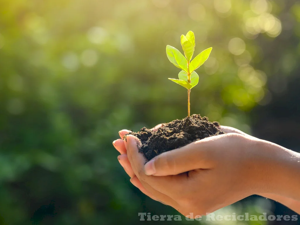 Estrategias y consejos para proteger el medio ambiente