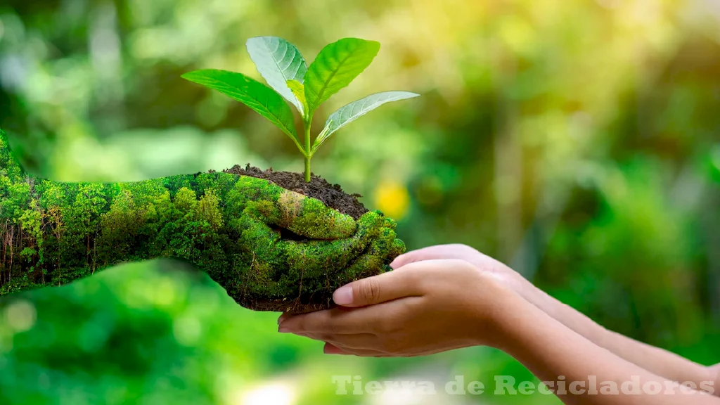 La educación ambiental en nuestra vida diaria pequeños pasos hacia un futuro más sostenible