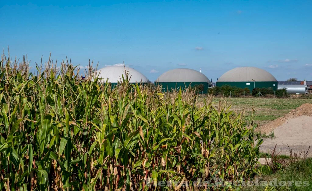 El proceso de producción de biogás en biodigestores