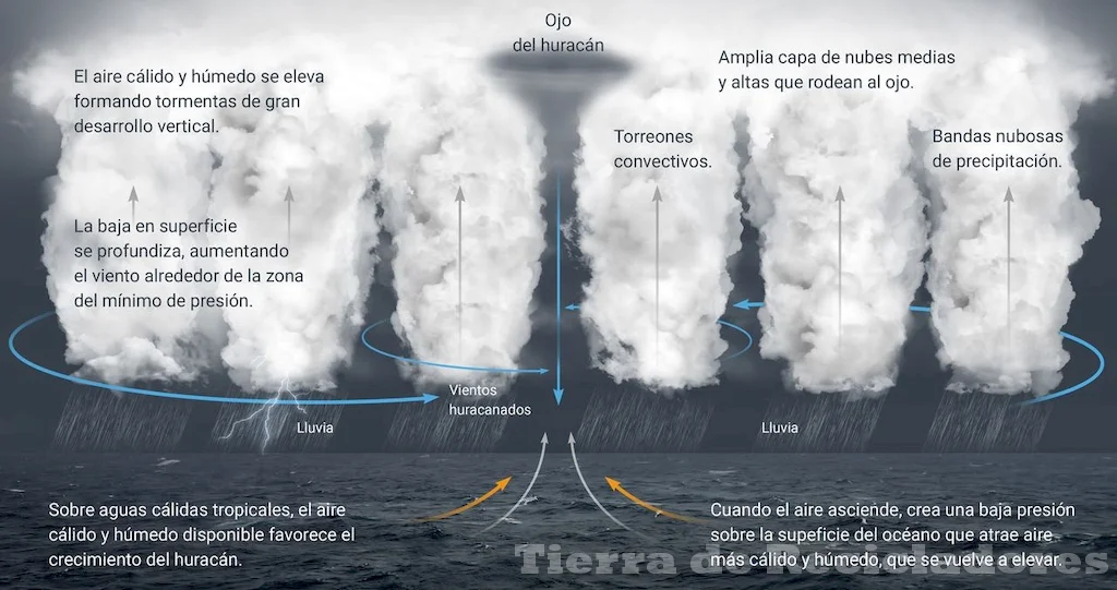 La condición climática perfecta para el desarrollo de un ciclón