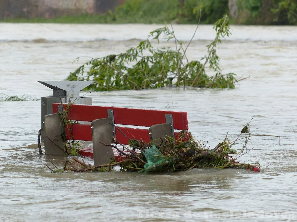 Cambios extremos en el clima y medio ambiente