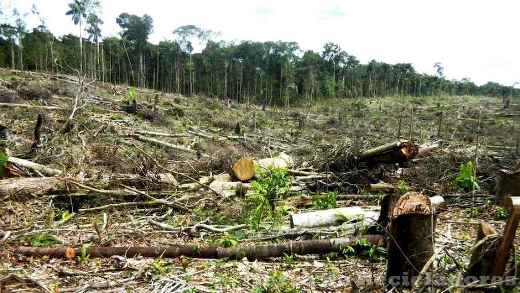 El estrago ambiental causado por el consumo imprudente de recursos