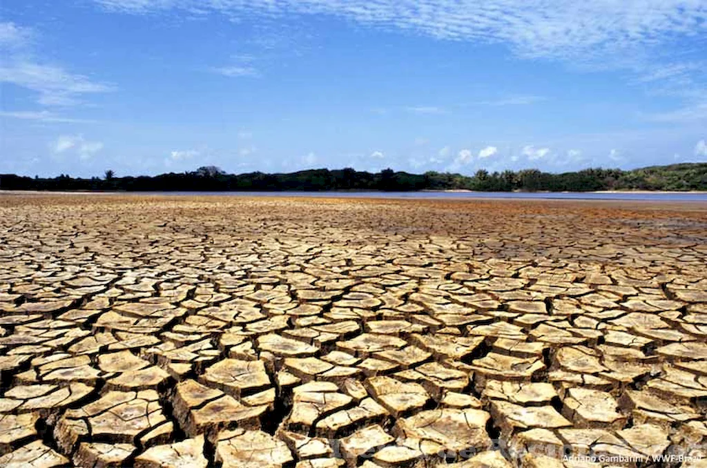 La biodiversidad y ecosistemas locales están siendo afectados