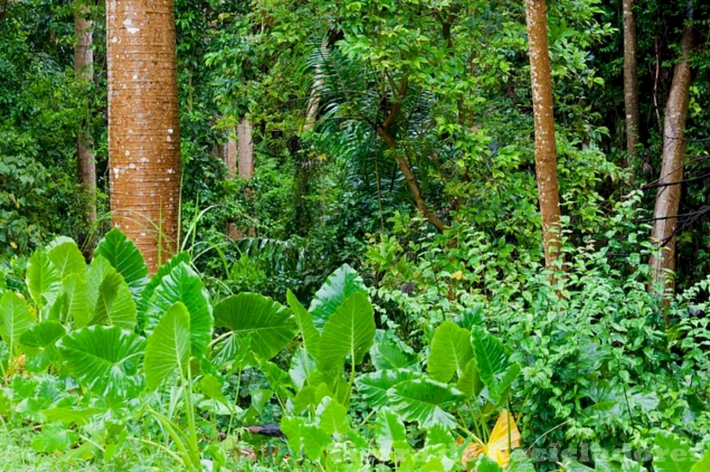 Preservar la belleza natural y el equilibrio ecológico