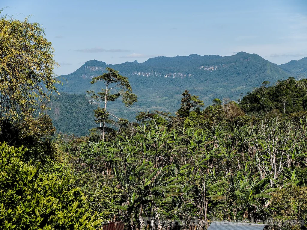 Preservemos el equilibrio ecológico en las estepas