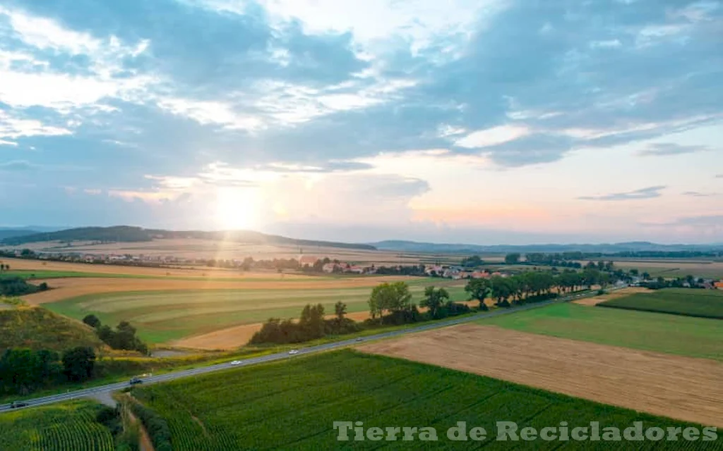 La importancia de preservar la biodiversidad en ecosistemas lentos