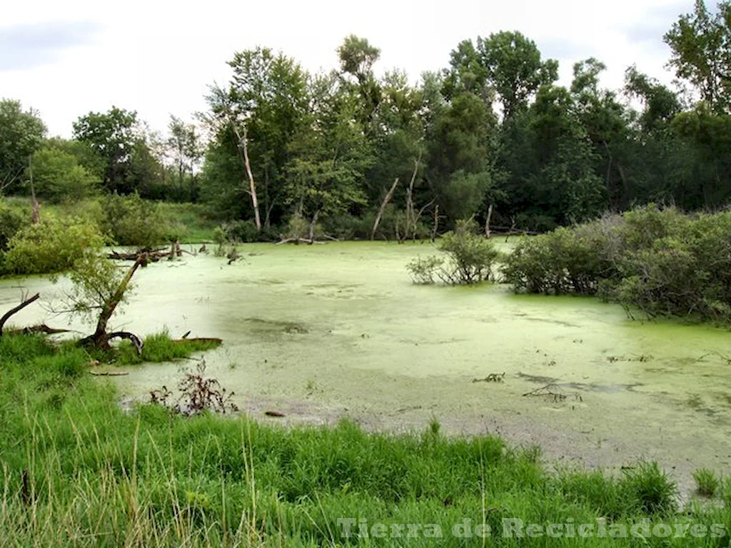 Protegiendo nuestra biodiversidad