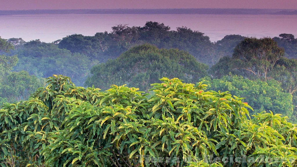 La conservación y protección del medio ambiente