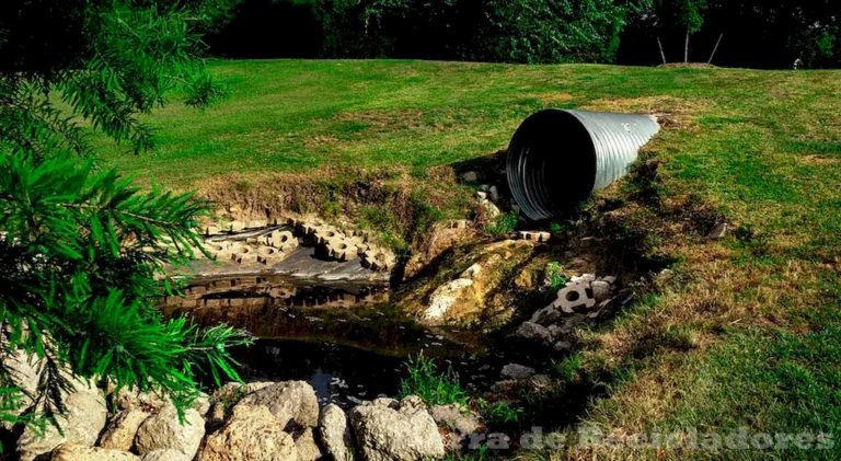 Causas y consecuencias de la contaminación del agua