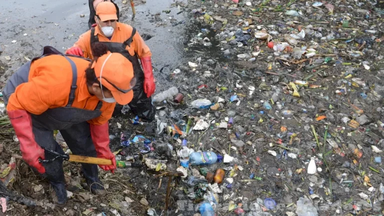 La contaminación por basura causas y consecuencias para una vida sostenible