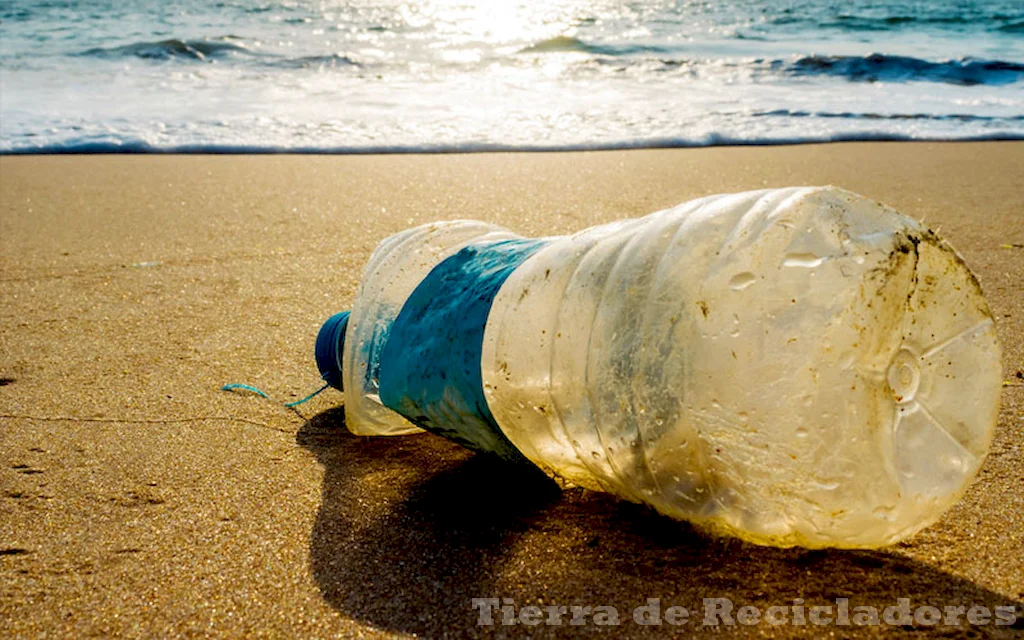 Vivir en armonía con el medio ambiente