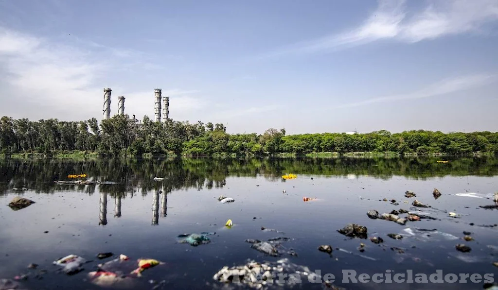 Impactos negativos en el clima y ecosistema