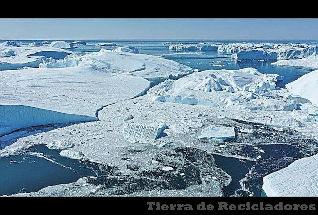 Campañas y acciones para combatir el cambio climático