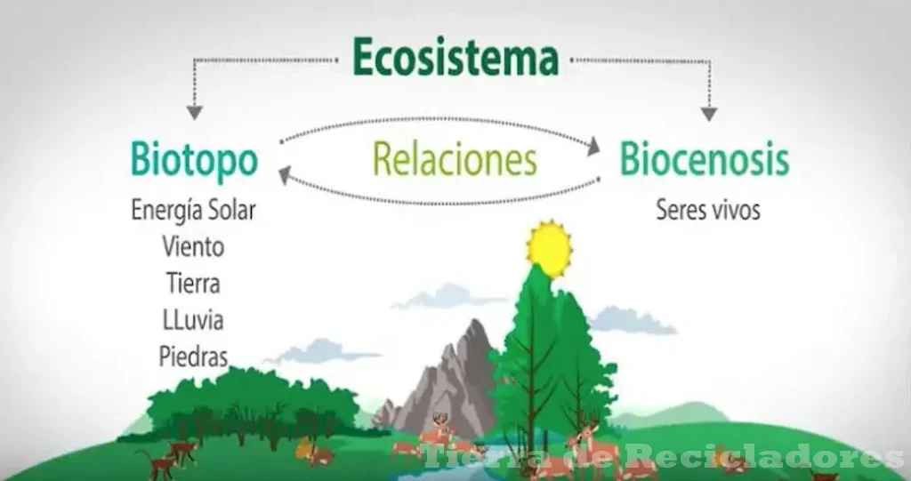 El hábitat terrestre es fundamental para la vida