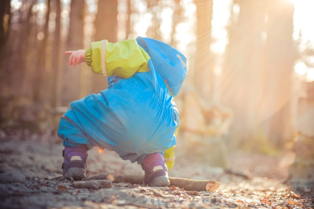 Día Internacional de la Educación Ambiental