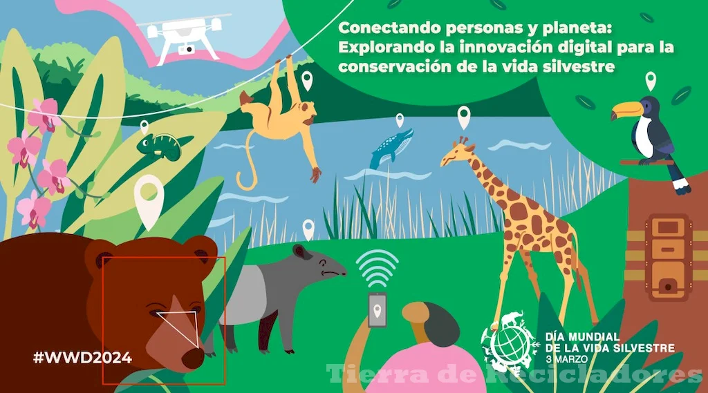 Celebramos el día internacional para proteger nuestro medio ambiente