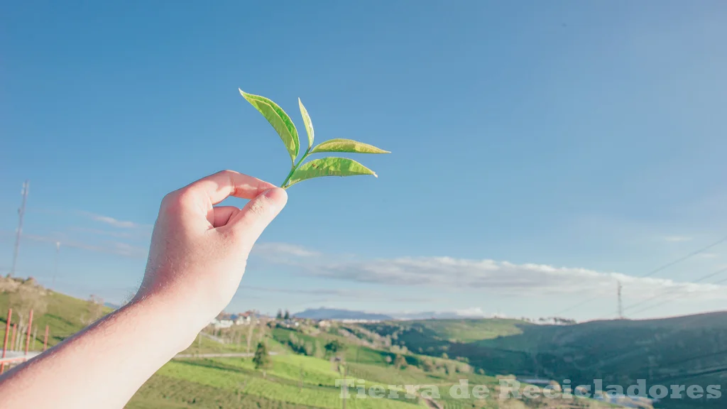 Celebremos un cielo azul y una salud ambiental