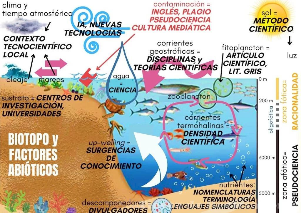 Las principales diferencias entre Mar y Océano