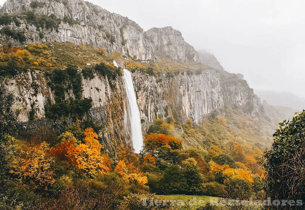 La conservación de patrimonios naturales y culturales es fundamental para preservar la identidad y riqueza del planeta