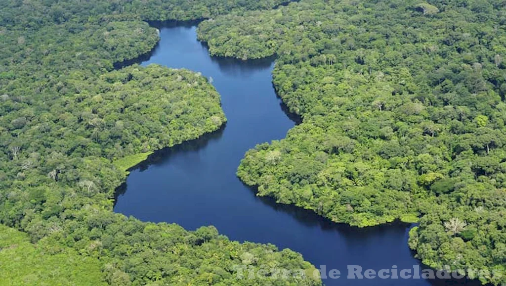 En las regiones cercanas al ecuador