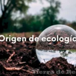 Conociendo los ecosistemas para proteger el medio ambiente