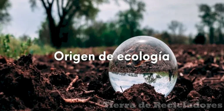 Conociendo los ecosistemas para proteger el medio ambiente