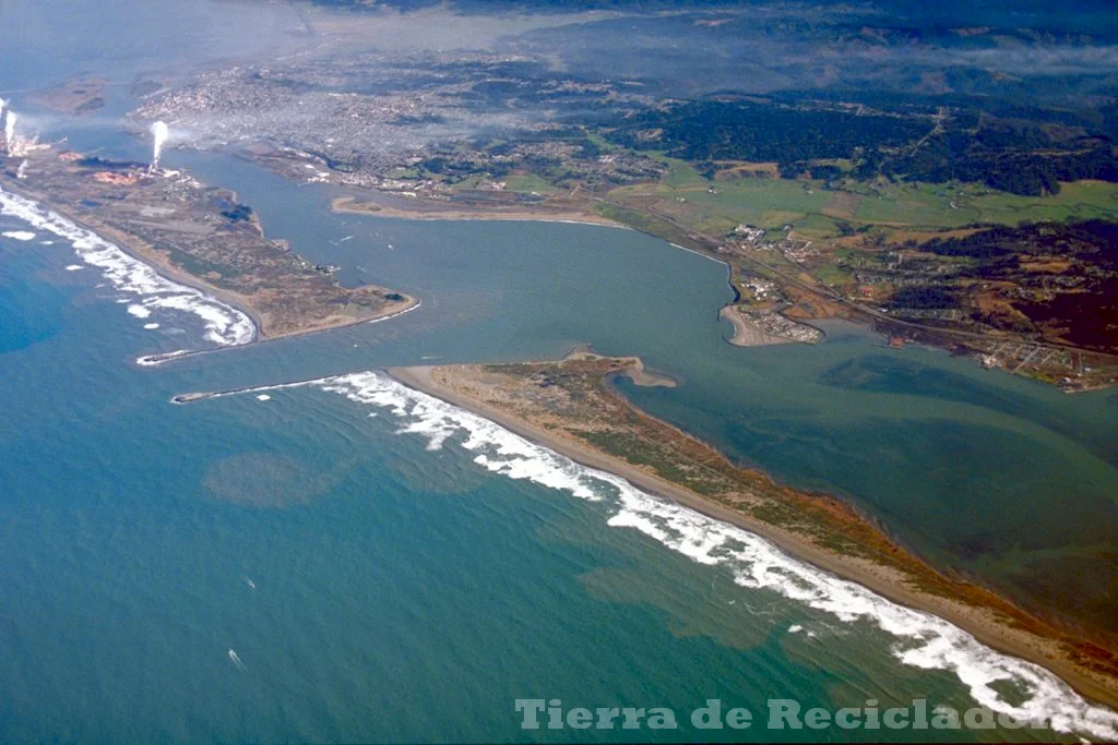 Ecosistemas acuáticos de agua dulce características y ejemplos