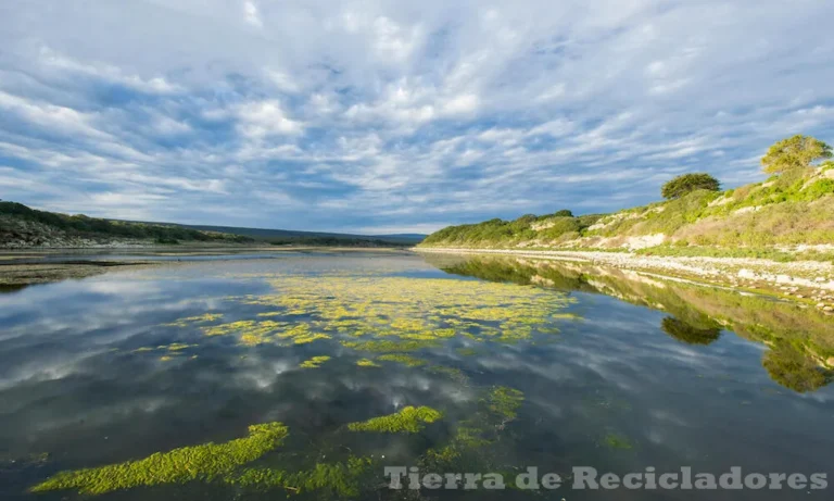 Ecosistemas acuáticos