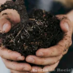 Conocimientos básicos sobre suelos y ecosistemas