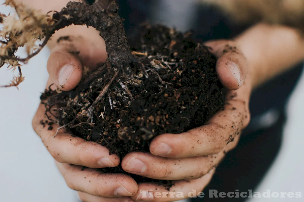 Conocimientos básicos sobre suelos y ecosistemas